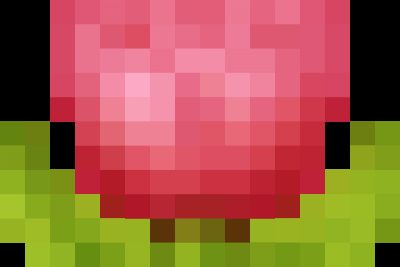 Tổ chức thao giảng đợt 1/2025-2026