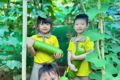 “ BÉ THU HOẠCH VƯỜN RAU“